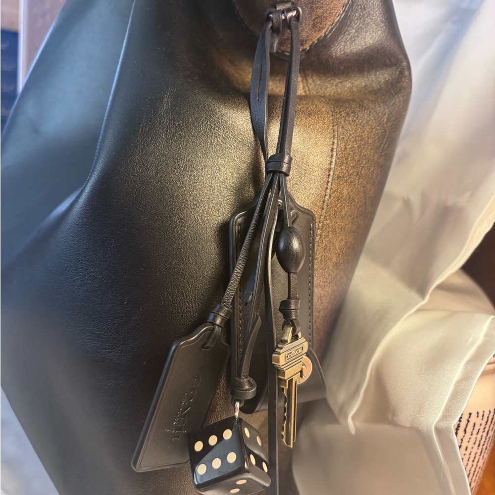 Coach loved Leather Brooklyn 39 Women's Bag - Picture 2 of 10